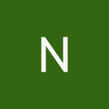 Nini2008