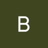 bagauydinova08