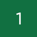 1wt1