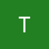 Timon