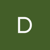 darinagagina8
