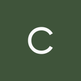 cutica_zayka