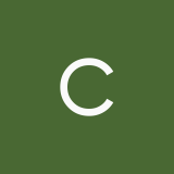 chamomile346
