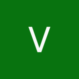 vole_72