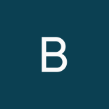 budarina_u