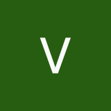 varyginam