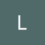 licon33881