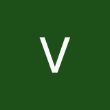 vergunova2012