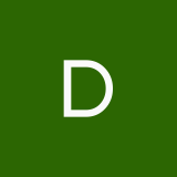 DariaVasileva1711