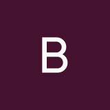 bravlcat519