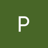ppp77254319