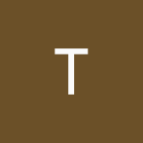 t1s.m