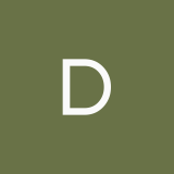 dini00