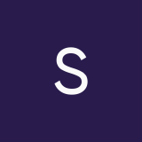 SterlTheBird