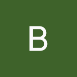 borodinaulana83