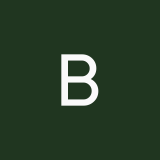 borodinae897