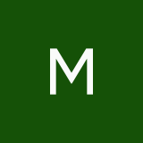 mit333857