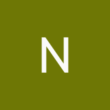 nicelizard13