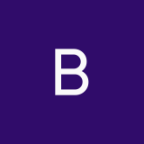 bolshakovasv11