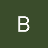 Bfiidosk