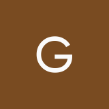 goose_nok