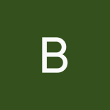 buzyckinadara6