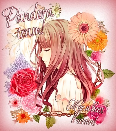 Pandora Team