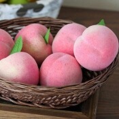 Pink Persik