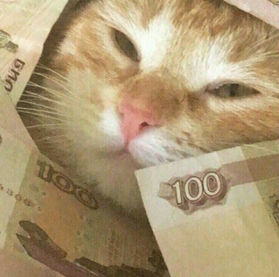 Кошак с соседнего балкона