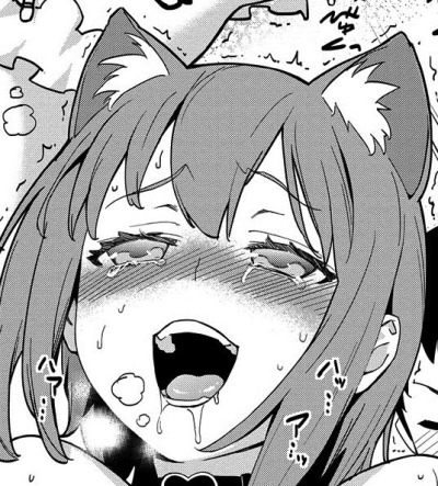 reinsasha