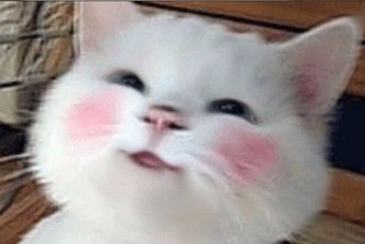 Чоколейто