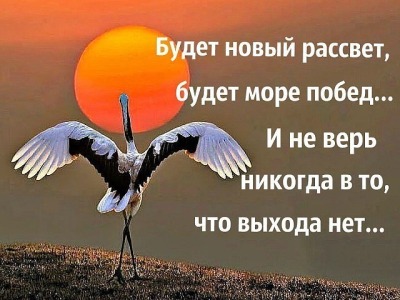 Одиночка