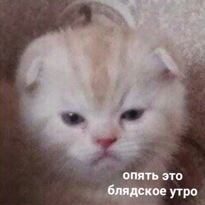lorem ipsum dolor sit amet