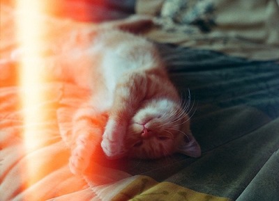 ПерсТик
