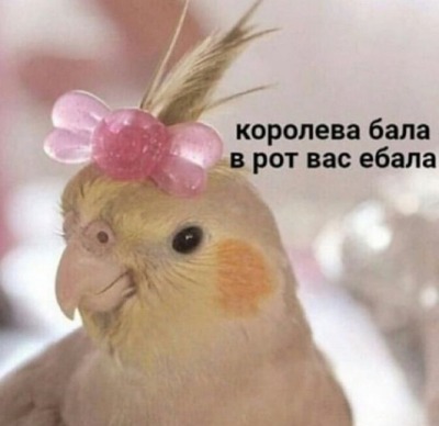 Чмок в лобик