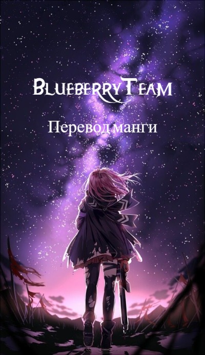 BlueberryTeam