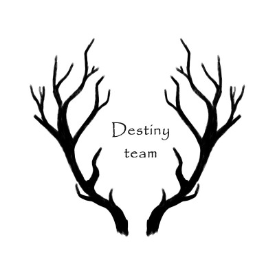 Destiny team