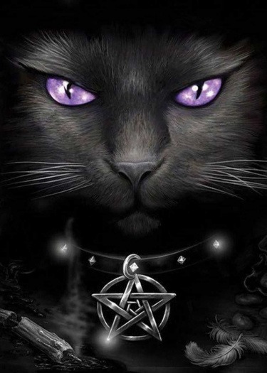 ♔︎𝐾𝑖𝑛𝑔𝑑𝑜𝑚 𝑜𝑓 𝑐𝑎𝑡𝑠♔︎