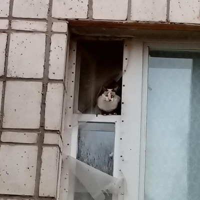 Лишь бы не тупой гг