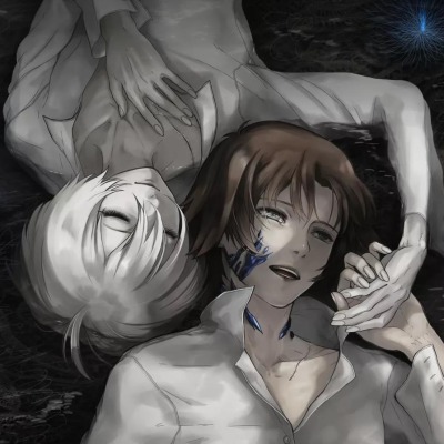 Shipper_№666