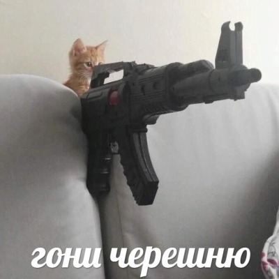 Гоповатая черешня