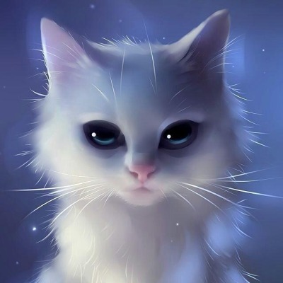 hug.cat