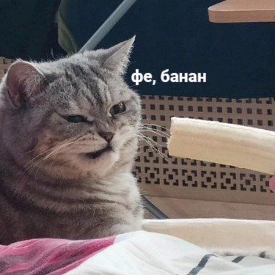 Сейвичка