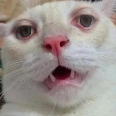solalalalasi