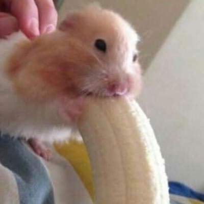 Радужный Чаёк