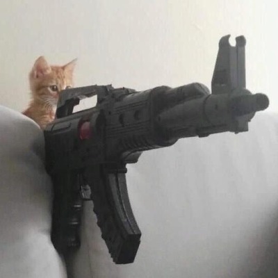 Coolrat