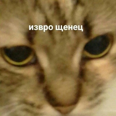 нервно жду трахен