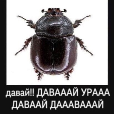 ₽убль