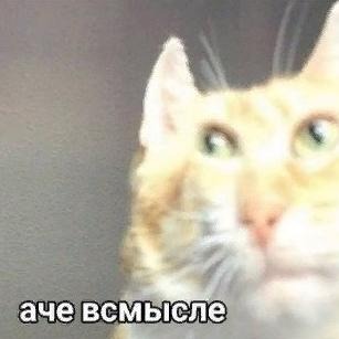 Емае