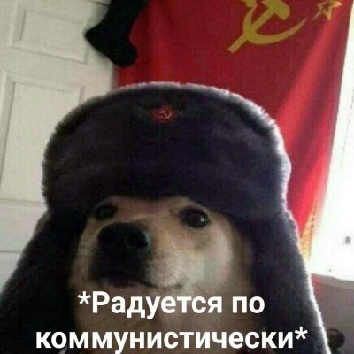 Нася_тут